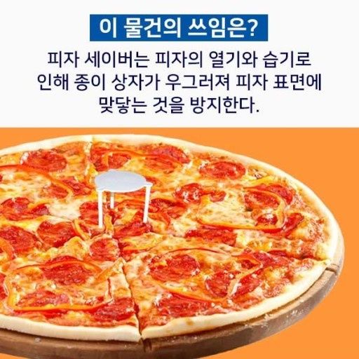 피자지킴이