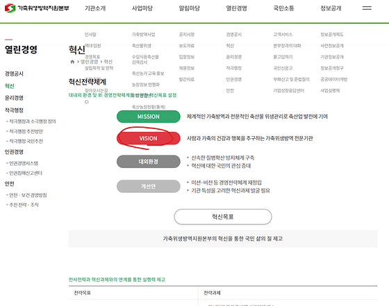 비전