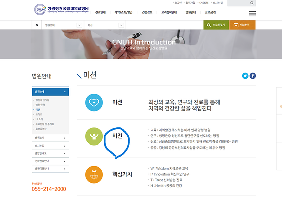 비전
