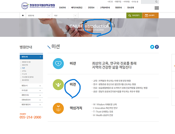 비전