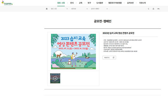 콘텐츠