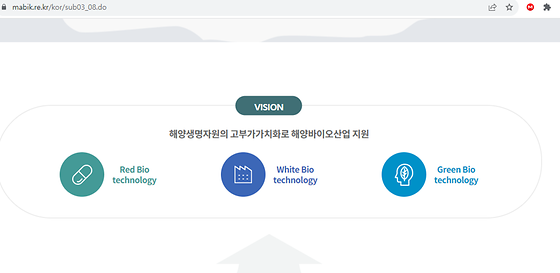 비전