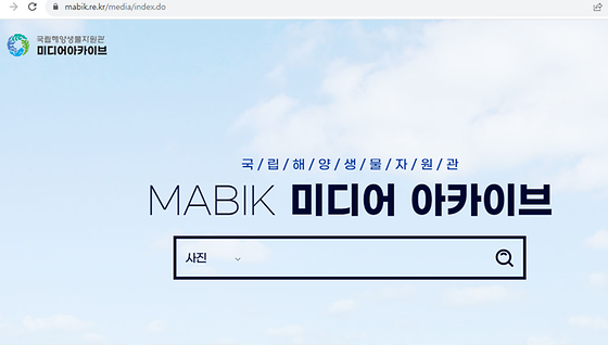 미디어아카이브