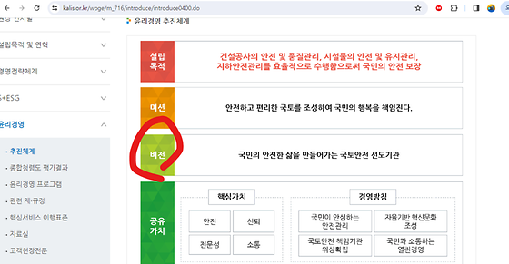 비전을 우리말로 바꿔주세요