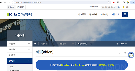 비전을 우리말로 바꿔주세요