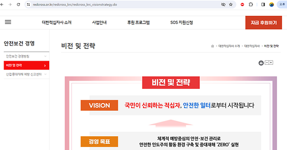 비전을 우리말로 바꿔주세요