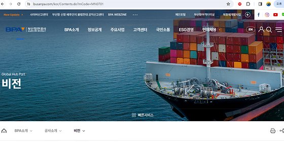 비전을 우리말로 바꿔주세요