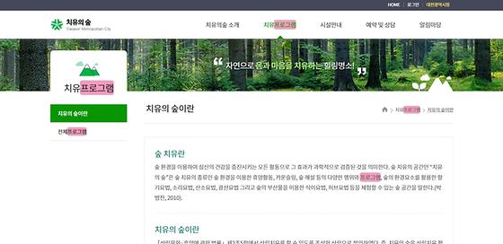 프로그램 = 계획, 활동, 수업, 수강, 지원