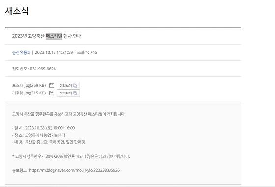 페스티벌