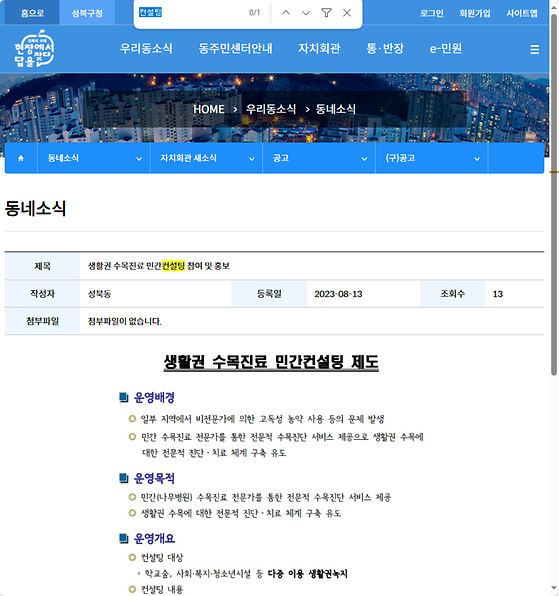 컨설팅 = 조언,자문