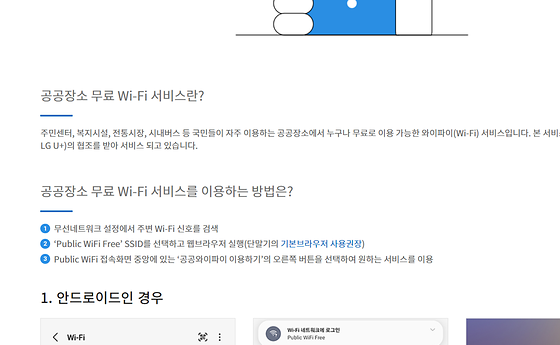 외국어 남용 사례