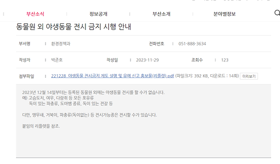 홍보물