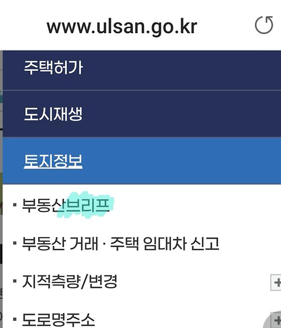 (요약)보고, 설명