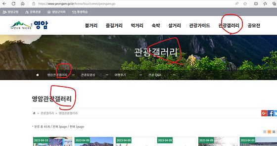 영암군'갤러리'