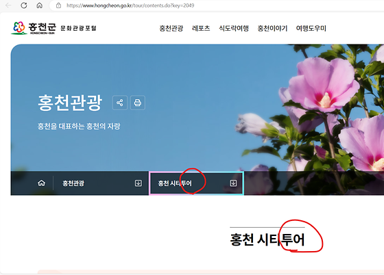 홍천시청 '투어'