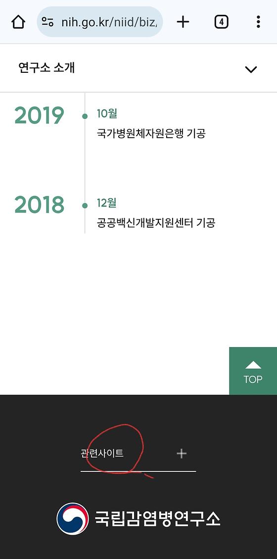 사이트