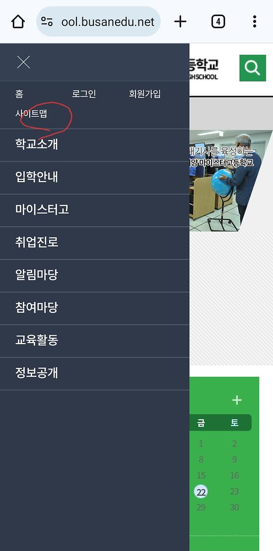 사이트