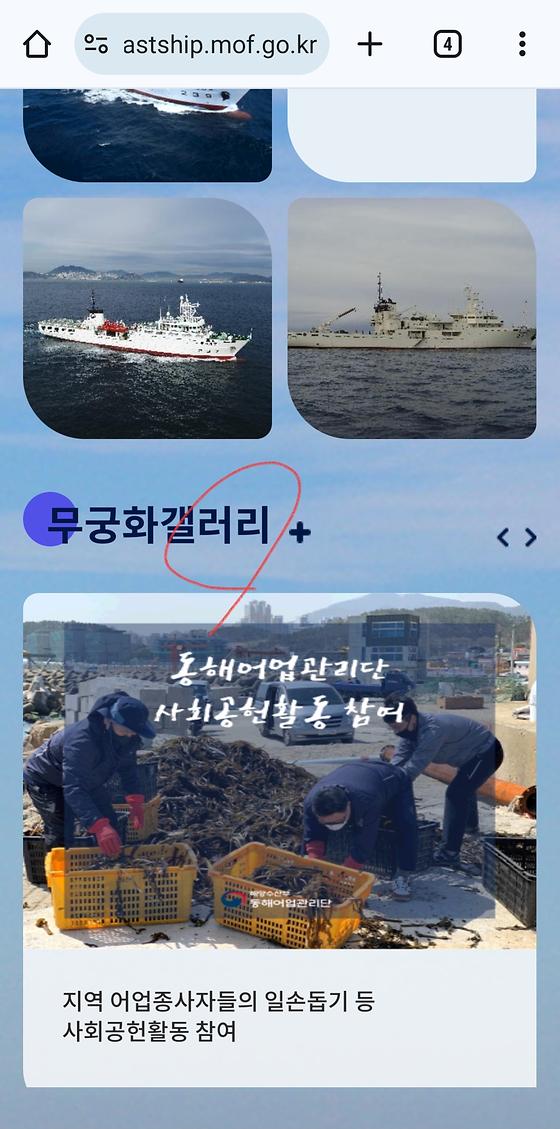 갤러리 