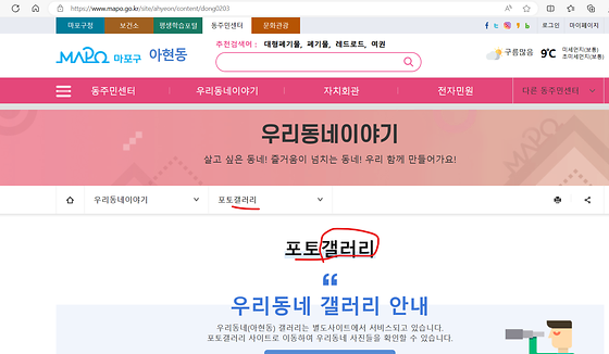 갤러리