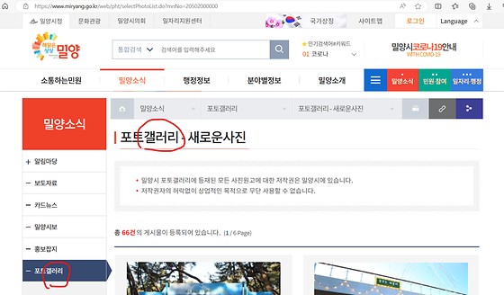 밀양시청 갤러리