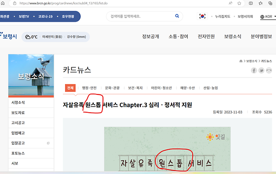 보령시청 '원스톱'
