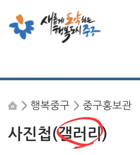 사진첩