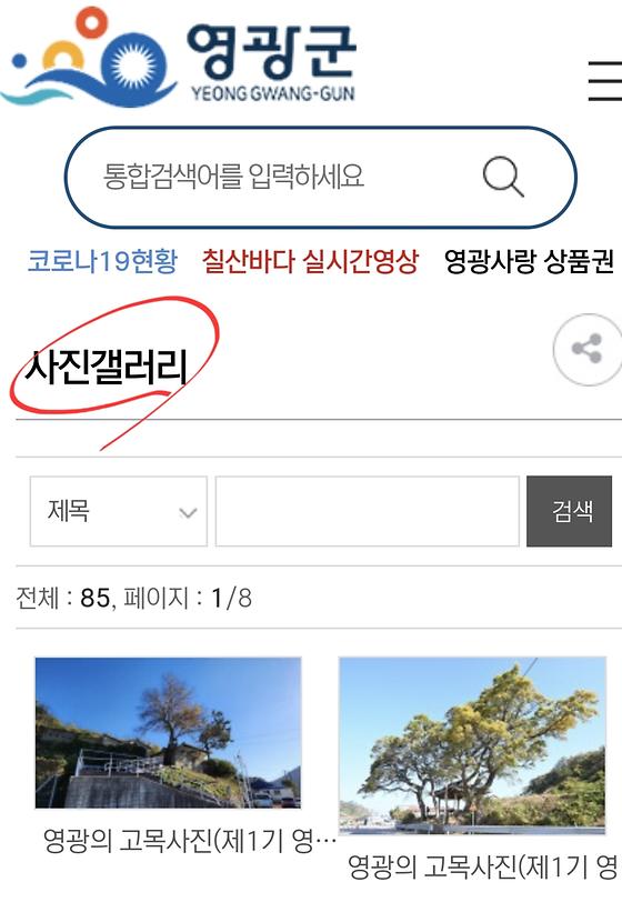 사진자료실