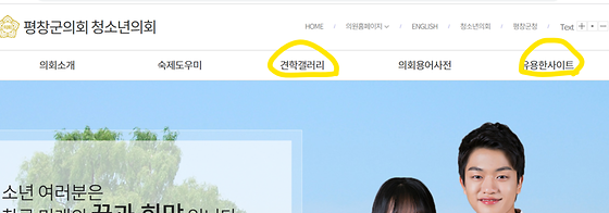 평창군 청소년의회_갤러리, 사이트