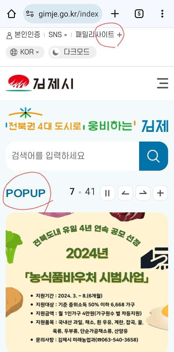 사이트, popup