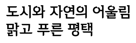 평택시 구호