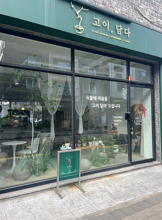 고이 담다