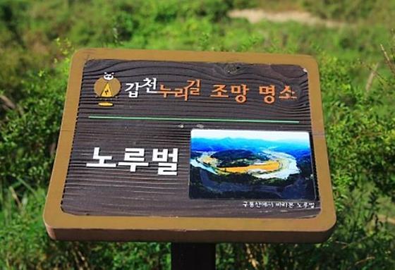 노루벌