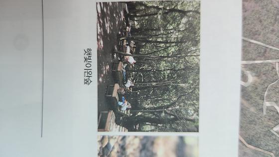 햇빛이완숲 치유의숲길