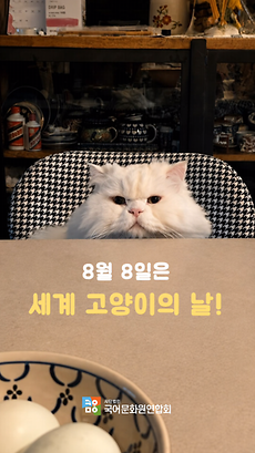  8월 8일은 세계 고양이의 날! 